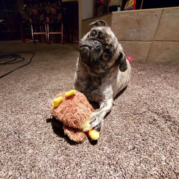 Meet your Posher, Sarah - Picture 7 of 8